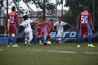 九游娱乐官方-中国足球协会召开年度总结大会,中国足球协会会长是谁